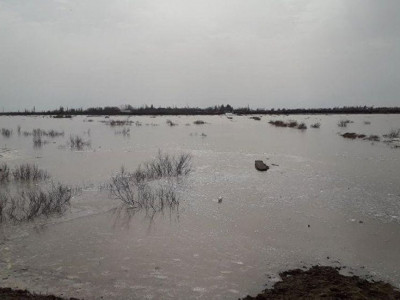 Байқоңырда мәйіті табылған баланың неден көз жұмғаны белгілі болды