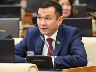 «Кедейлікпен күрес»: депутат әр отбасыға 20 сотық жер беруді ұсынды