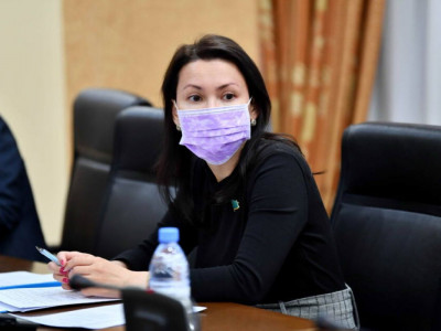 Сенаторлар өнеркәсіптің дамуын тежейтін қатерлер туралы талқылады