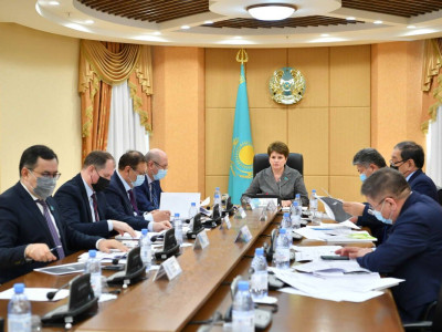 Сенатта қолжетімді баспана беру мәселесі талқыланды