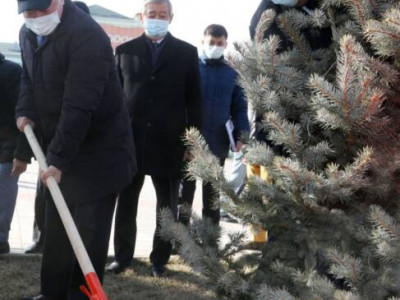 Таразда Алғыс айту күніне орай 1000 түп ағаш көшеті отырғызылды