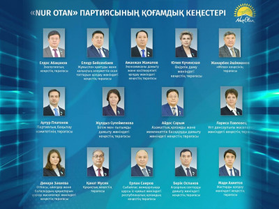 «Nur Otan»: 14 республикалық қоғамдық кеңес құрылды