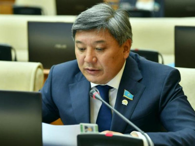 Депутат петроглифтерді жедел қолға алу қажет екенін айтты