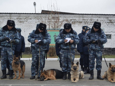 Жатақханадан қашып кеткен студент қыздар табылды