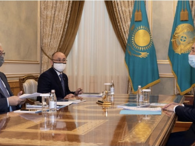 Президент Қазақстан халқы Ассамблеясы төрағасының орынбасарын қабылдады