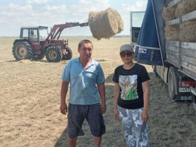Маңғыстауға жем-шөп жіберуді көпбалалы ана ұйымдастырып жүр