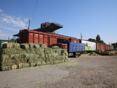 Жамбыл облысы Қызылорда облысына 33 тонна шөп жөнелтті