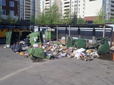 Нұр-Сұлтанда 36 қоқыс контейнерін өртеп кеткен адам ұсталды