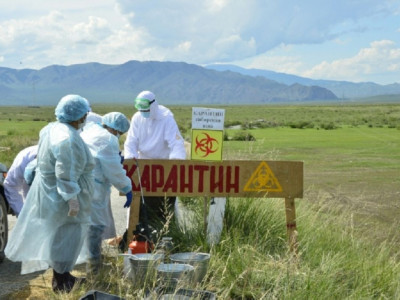 Cібір жарасының ошағы: СҚО-дағы Ақжар ауданы төрт аймаққа бөлінді