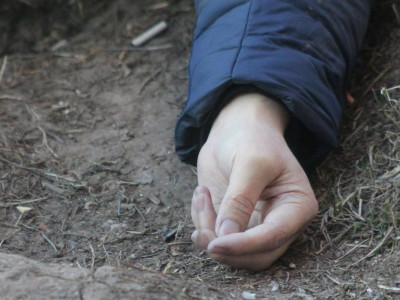 Алматы облысында қойшының басын кесіп, денесін айдалаға лақтырып кеткен