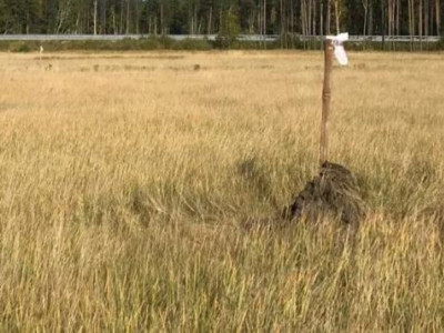 Ақмола облысының әкімдігі бір жер учаскесін екі рет сатқан