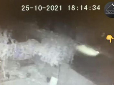 18 жастағы жігітті қағып өлтірді: көлік жүргізушісі қашып кеткен