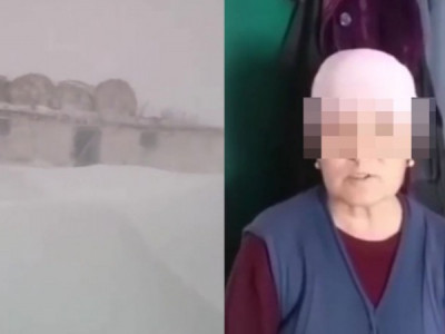Ауласындағы қарды видеоға түсірген тұрғынға кешірім сұратқан әкім жазаланады