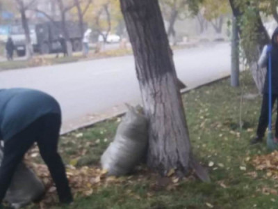 Семейде мұғалімдерді көше сыпыруға мәжбүрлеген шенеуніктер жазаланады