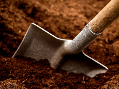 Сенат депутаты жерлеу туралы заң әзірлеуді ұсынды