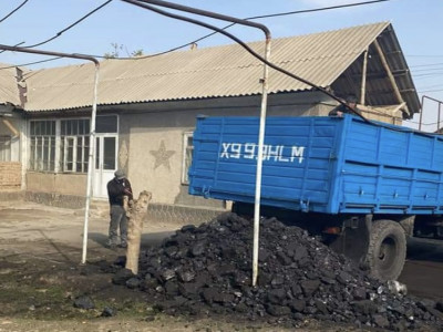 “Nur Otan”: Мұқтаж отбасыларға көмір түсірілді