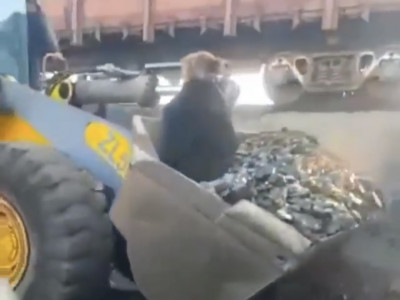 «Бұл - арандатушылық»: Көмір үшін жүк тиегішке мініп алған әйелдің видеосына әкімдік жауап берді
