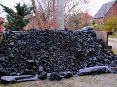 Ресейде вакцина алғандар арасында 3 тонна көмір ойнатылады