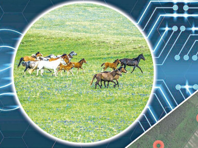 Заманауи құрылғының көмегімен мал ұрлығы әшкереленді
