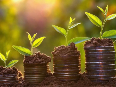 400 млн теңгенің субсидиясын жымқырған пысықай