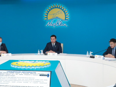 Nur Otan алаңында агроөнеркәсіп кешенін субсидиялау жүйесі қаралды