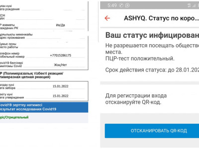 «Egov-та – сау, Ashyq-та – ауру»: Тараз тұрғыны министрге шүйлікті