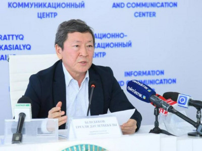 Ағаштағы қарды сілкіп түсіруге 600 млн теңгенің бөлінгені рас па?