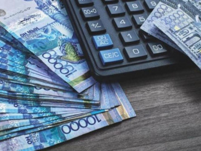 «Мемлекеттен ақша алатын компаниялар қоғам үшін ашық болуы қажет» – депутат