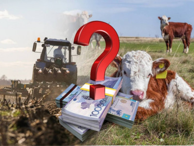 Субсидияның сұрауы кімнен?