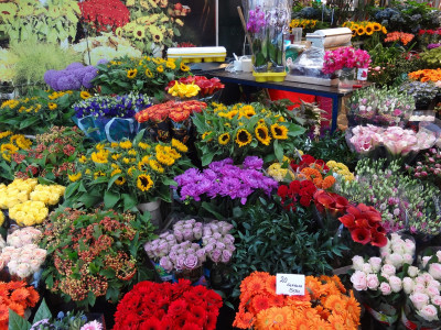 Әлемді әрлендірген ілтипат бизнесі