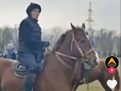 Дәурен Абаев көкпаршы орыс қызына араша түсті (ВИДЕО)