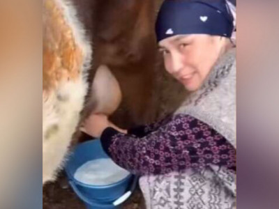«Папаға Азия чемпионы болсаң да бәрібір»: Мәдина Бақбергенова сиыр сауып жүр (ВИДЕО)