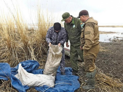 ШҚО-да сәуірден бері заңсыз балық аулаудың 195 фактісі анықталды