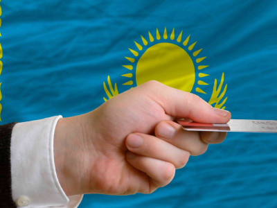 Депутаттар елімізде онлайн несиелеуге тыйым салуды ұсынды