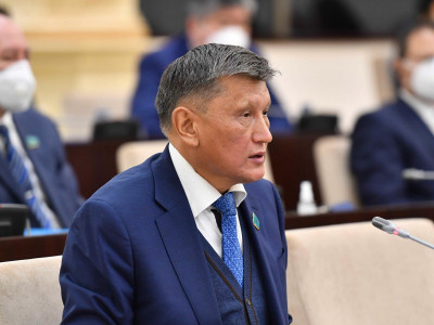 Сенатор тәртіпсіз өнер адамдарын заңмен шектеуді ұсынды