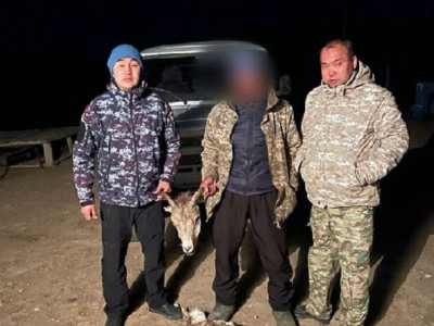 «13 миллион теңге шығын келді»: заңсыз аң атқан браконьер ұсталды