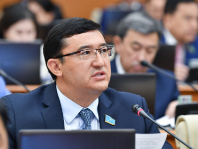 Тері мен жүн экспортына салынатын кедендік баж салығын алып тастау ұсынылды
