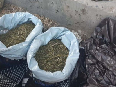 Шымкентте есірткі саудалағандар ұсталды