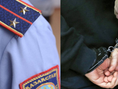 Жылқыны әдейі таптаған жүргізуші қамауға алынды