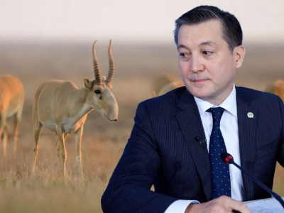 Серікқали Брекешев биыл еңбек демалысына шықпайтынын айтты