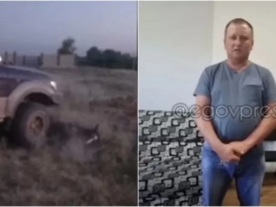 Жылқыны әдейі таптаған жүргізуші кешірім сұрады