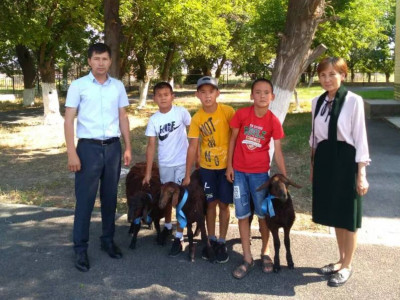 Ауыл әкімі көп кітап оқыған балаларға қозы сыйлады