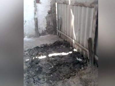 Мақтаарал тұрғыны ауласынан адам сүйегін тауып алды