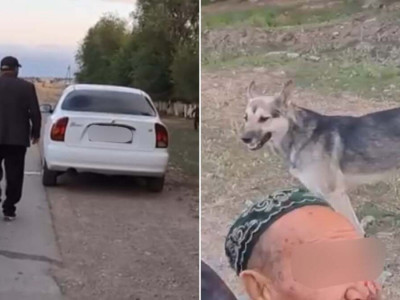 Велосипедтегі қарияны қағып кеткен жүргізуші ұсталды