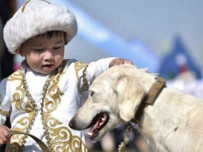 Ұлыңыз ер мінезді болып өссін десеңіз – маман кеңесі