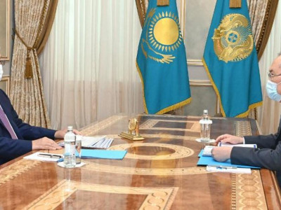 Мемлекет басшысы Жанат Элимановты қабылдады