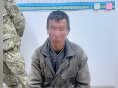 Қазақстан шекарасынан заңсыз өтпек болған шетел азаматы ұсталды
