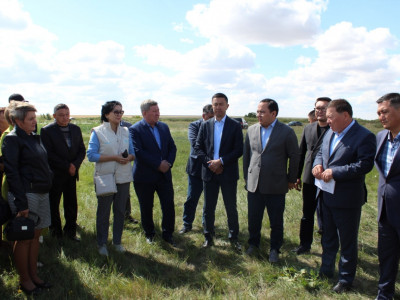 Ақмола облысындағы 60 мың гектар жер мемлекет меншігіне қайтарылды