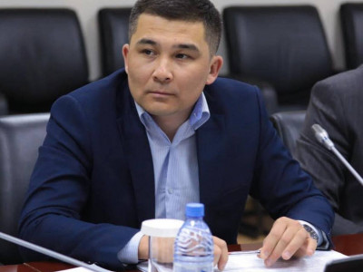 Саясаттанушы мемлекеттік мүдде тұрғысынан тиімді бағыттарды атады