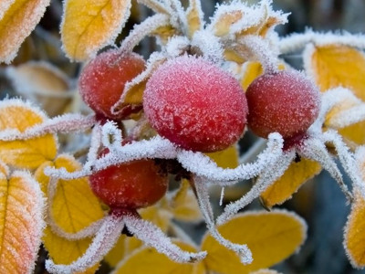 Үсік жүреді: бірнеше өңірде ауа райына байланысты дауылды ескерту жарияланды